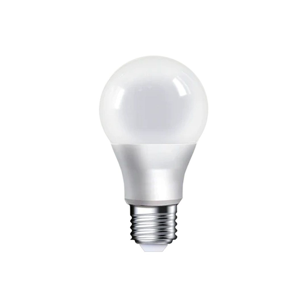 Bulbs