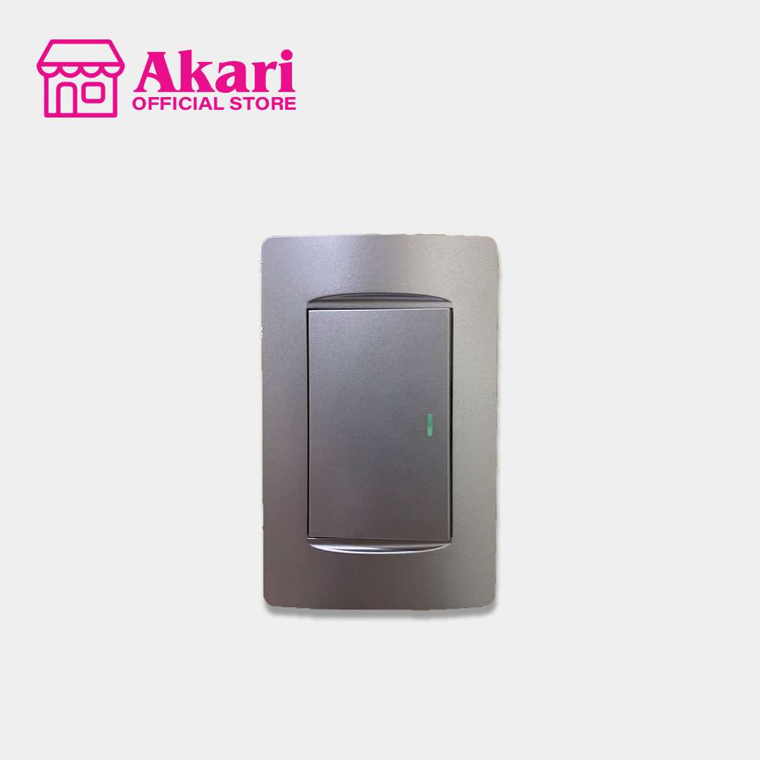 *Akari 1 Gang 1 Way Switch with Luminous (AWD-Z8101-1(S)