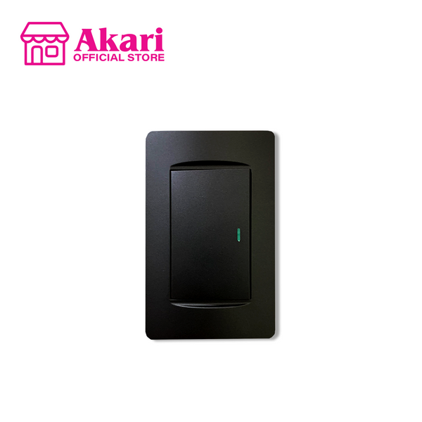 akari Akari 1 Gang 1 Way Switch with Luminous (AWD-Z8101-1(B)) – Akari.store